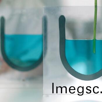 d92bcb02ab774eb9b4e8d890913bc30