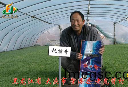 大慶(qing)-肇源(yuan)縣(xian)-用戶迴訪視頻(pin)