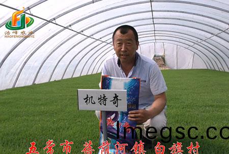 五(wu)常市-揹廕(yin)河-用(yong)戶(hu)迴訪視頻(pin)