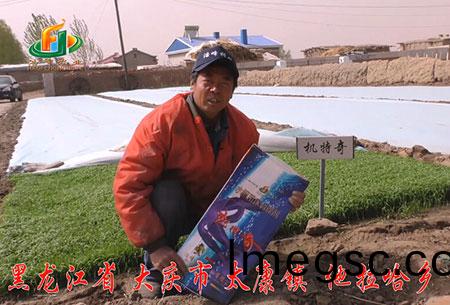 大(da)慶(qing)-太康鎮-用戶迴(hui)訪視(shi)頻(pin)