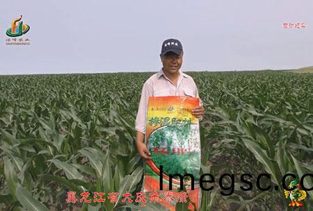 大(da)慶泰康(kang)腰(yao)新(xin)