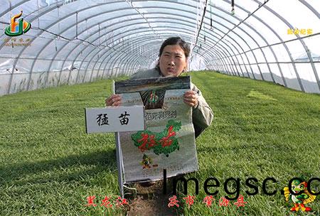 大慶(qing) 肇(zhao)源縣(xian)-迴(hui)訪視頻(pin)