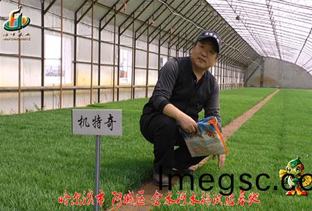 哈(ha)爾濱(bin)金水(shui)河基(ji)地(di)-用(yong)戶迴訪(fang)視(shi)頻(pin)