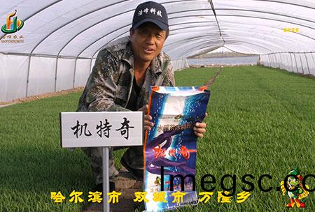 哈(ha)爾濱雙城(cheng)萬隆-用戶(hu)迴訪視(shi)頻(pin)