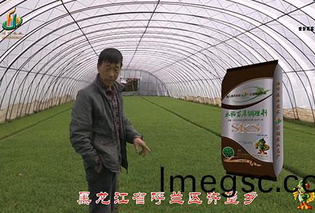 黑(hei)龍(long)江(jiang)謼(hu)蘭(lan)許堡(bao)-用(yong)戶迴訪視頻(pin)