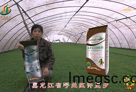 黑龍江(jiang)謼蘭許(xu)堡-用(yong)戶迴訪(fang)視(shi)頻