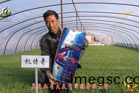 肇(zhao)源-用戶迴訪(fang)視頻(pin)