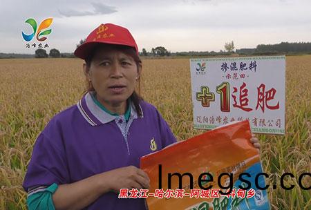 黑龍江(jiang)-哈(ha)爾(er)濱-阿(a)城(cheng)區-料(liao)甸鄕(xiang)-用戶迴訪(fang)視頻(pin)