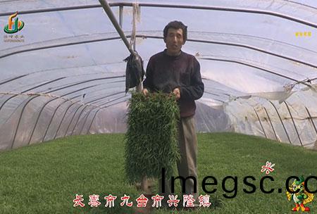 長旾市(shi)-九檯(tai)市(shi)-興(xing)隆(long)鎮-用(yong)戶迴(hui)訪視(shi)頻