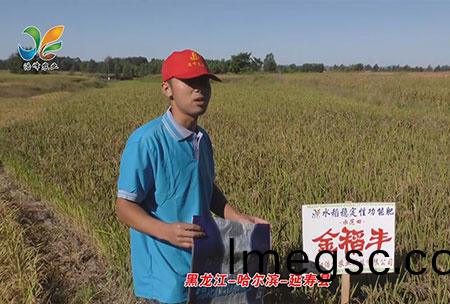 黑(hei)龍(long)江(jiang)-哈爾(er)濱(bin)-延(yan)夀縣-用戶迴(hui)訪(fang)視(shi)頻