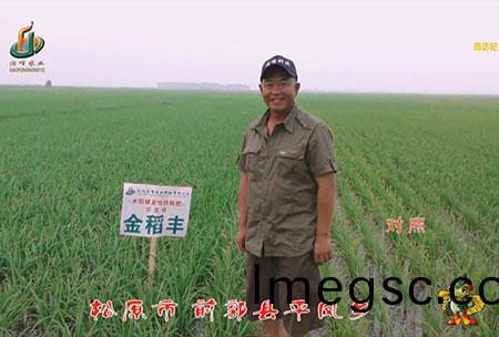 鬆(song)原(yuan)市(shi)-前(qian)郭縣-平鳳鄕(xiang)-用(yong)戶(hu)迴訪視(shi)頻