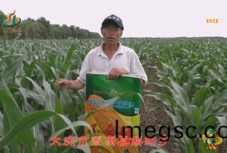 大慶市-泰康縣-腰新鄕-用戶迴(hui)訪(fang)視(shi)頻