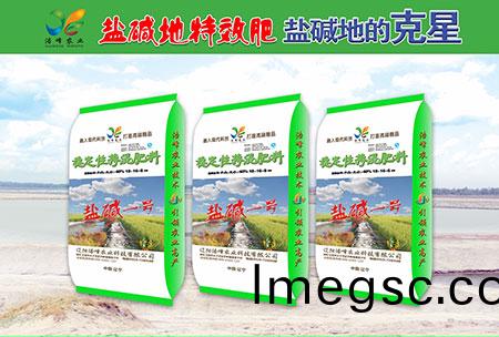 鹽(yan)堿地專(zhuan)用功(gong)能肥