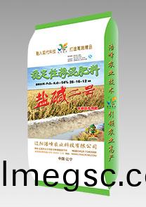 鹽堿(jian)二號（水(shui)稻(dao)）