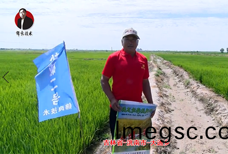 吉(ji)林(lin)省(sheng)-洮(tao)南市-大通(tong)鄕