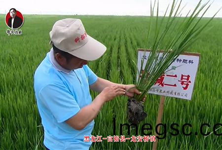 富(fu)裕(yu)縣(xian)-龍安(an)橋鎮