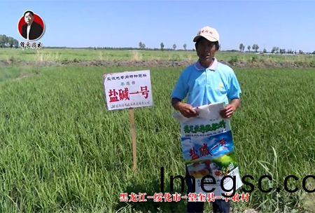 綏(sui)化(hua)市(shi)-朢(wang)奎縣-豐(feng)收邨