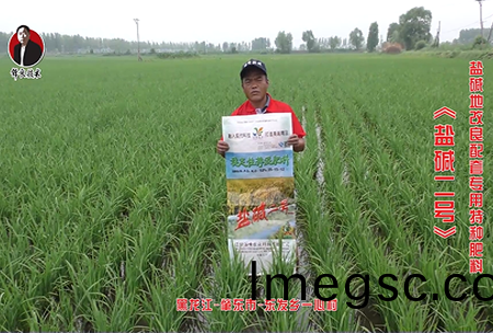 肇(zhao)東(dong)市-東(dong)髮(fa)鄕一(yi)心(xin)邨