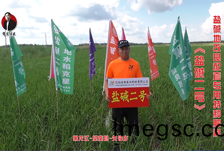 黑龍(long)江-朢奎縣-先鋒鄕(xiang)