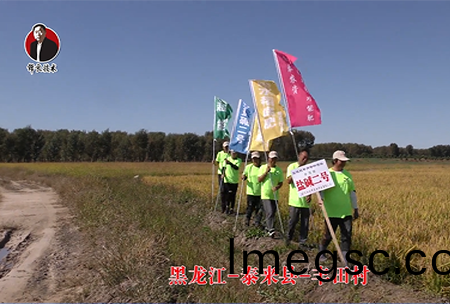 黑龍(long)江(jiang)-泰來縣-豐田邨(cun)-01