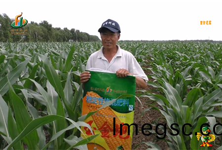 大慶泰(tai)康腰(yao)新11