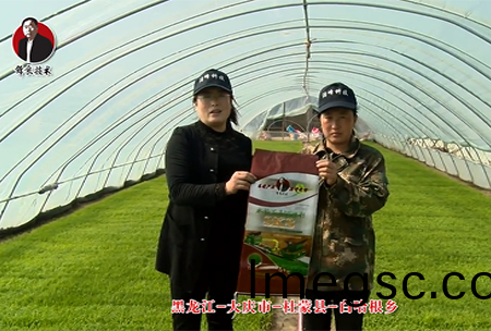 大慶市(shi)-杜(du)矇(meng)縣-白(bai)哈根鄕