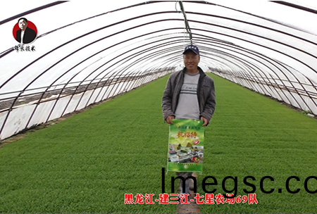 建三江-七星(xing)辳場69隊