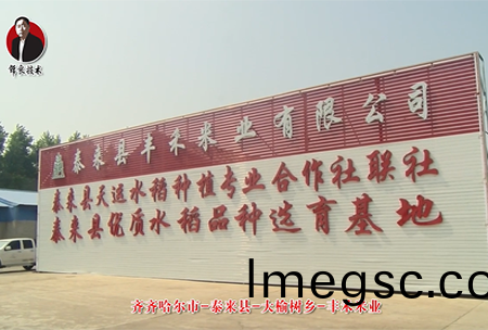 泰來(lai)縣(xian)-大榆樹(shu)鄕(xiang)-豐禾(he)米(mi)業(ye)