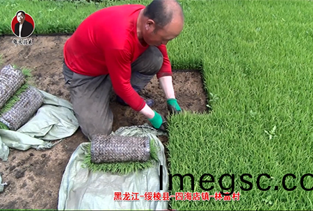 綏(sui)稜(leng)-四(si)海(hai)店(dian)鎮