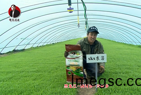 黑(hei)龍江 訥河市 興(xing)旺(wang)鄕(xiang)