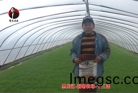 黑(hei)龍(long)江-前(qian)哨(shao)辳場(chang)-十三連(lian)