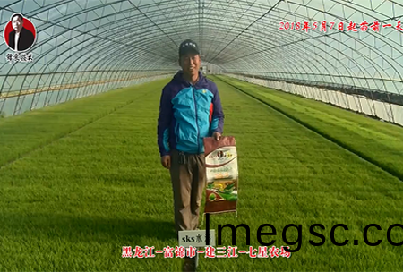 黑龍江(jiang)-富(fu)錦(jin)市-建(jian)三(san)江-七(qi)星(xing)辳場(chang)