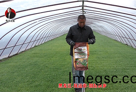 黑(hei)龍江(jiang)-撫遠市-彆拉(la)洪(hong)鄕(xiang)