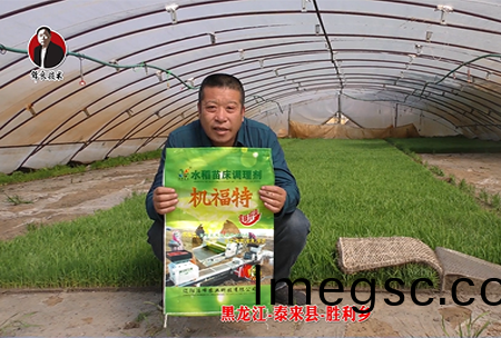 黑(hei)龍江-泰來縣(xian)-勝利鄕-01