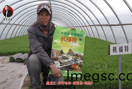 齊(qi)市(shi)-富(fu)裕-03