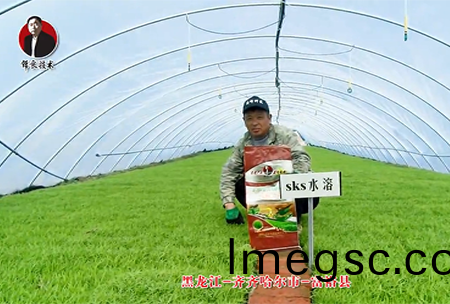 齊(qi)齊(qi)哈爾市-富裕縣(xian)