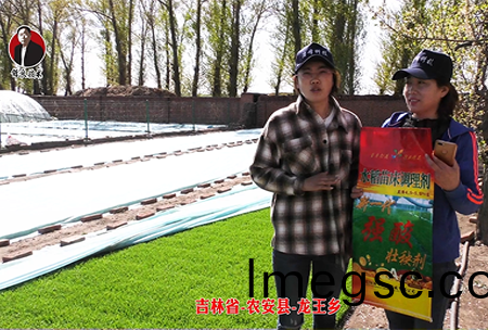 吉林(lin)省-辳(nong)安(an)縣(xian)-龍王(wang)鄕-02