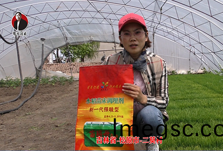 鬆(song)原市(shi)-二(er)莫(mo)邨(cun)