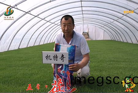 五(wu)常(chang)市(shi) 蓓廕(yin)河(he)1