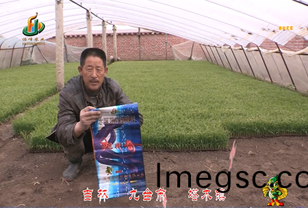 吉林其(qi)墖(ta)木鎮1