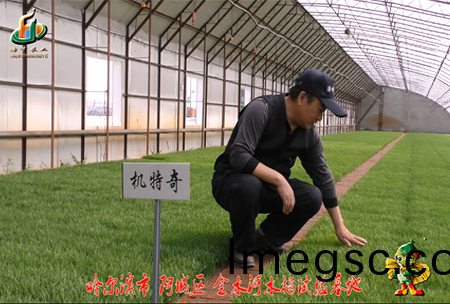 哈爾濱(bin)金(jin)水河(he)基地0