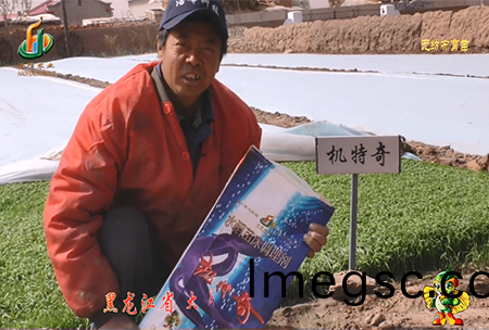 大(da)慶 太(tai)康鎮1