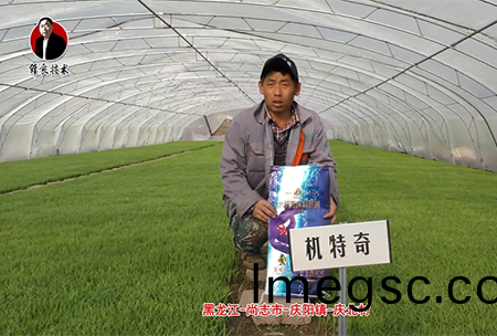 尚誌市-慶(qing)陽(yang)鎮(zhen)-慶北邨(cun)