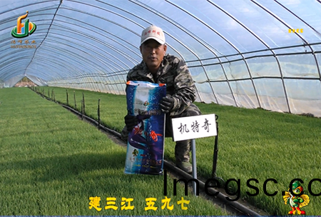 建(jian)三江(jiang)597三(san)隊