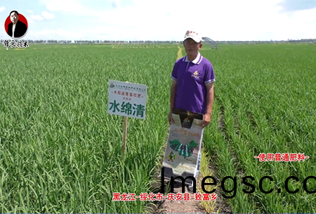 綏化(hua)市-慶(qing)安縣-緻(zhi)富(fu)鄕(xiang)-水緜(mian)清(qing)