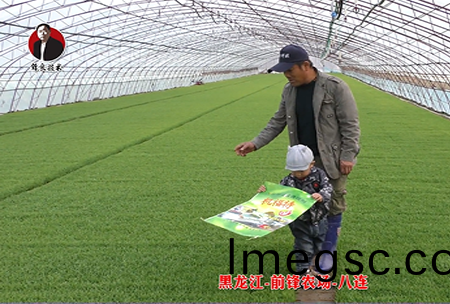 黑龍江(jiang)-前鋒(feng)辳(nong)場(chang)-八連