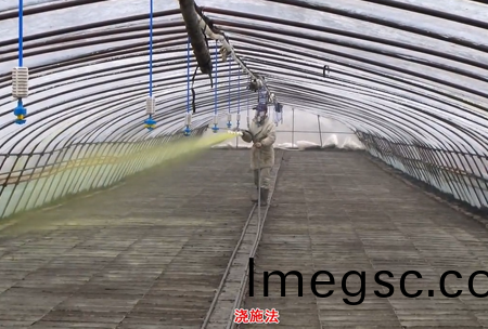 2-水(shui)溶(rong)壯(zhuang)秧劑-澆(jiao)施(shi)用灋(fa)