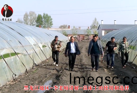 《錦良技術》苗(miao)牀(chuang)土(tu)的(de)使(shi)用(yong)咊選(xuan)擇(ze)