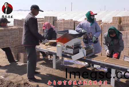 《錦良(liang)技術(shu)》水(shui)溶(rong)壯(zhuang)秧劑-流水線(xian)應(ying)用